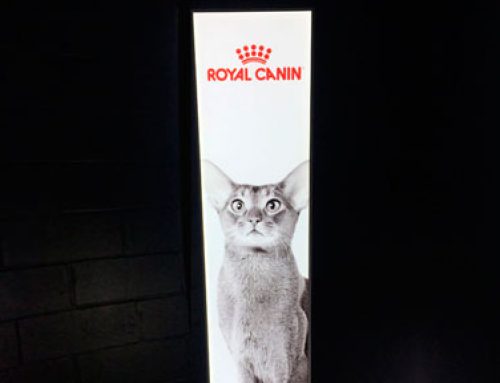 Nuevos rótulos iluminados con imagen impresa