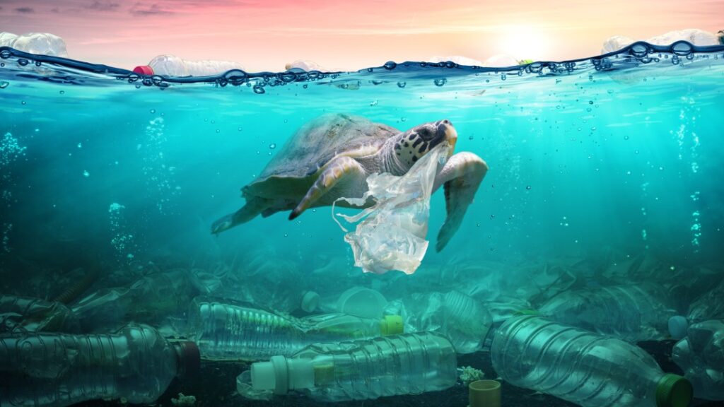 Ref: www.shutterstock.com